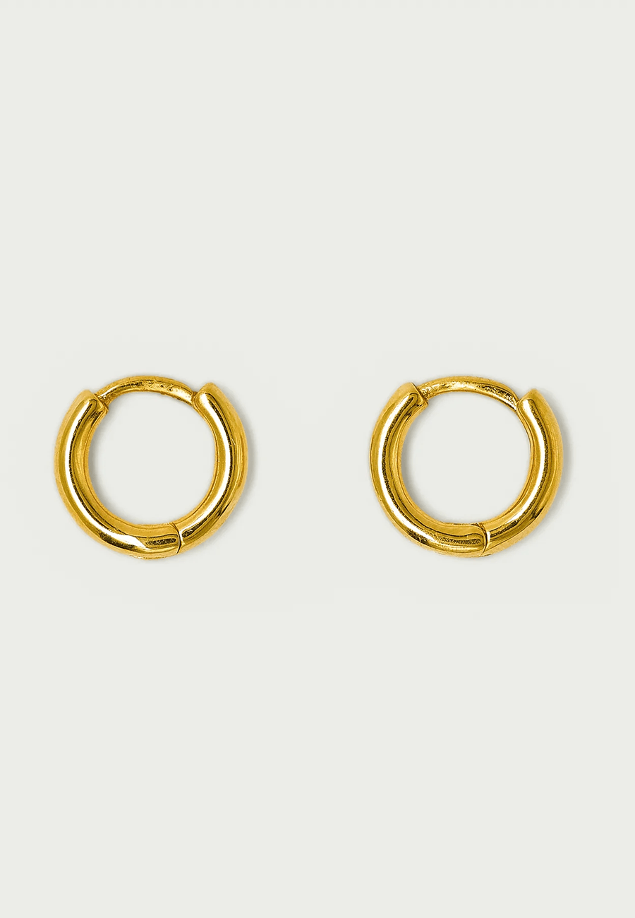Bebe 2025 hoop earrings